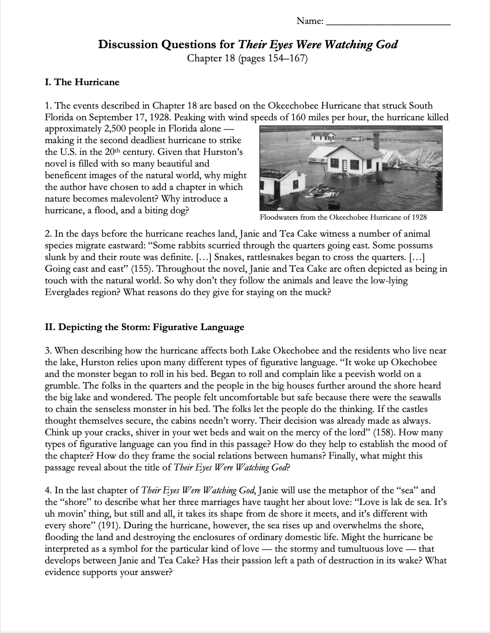 Their Eyes Were Watching God | Complete Teaching Unit
