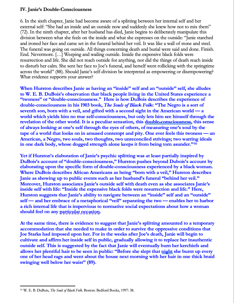 Their Eyes Were Watching God | Complete Teaching Unit