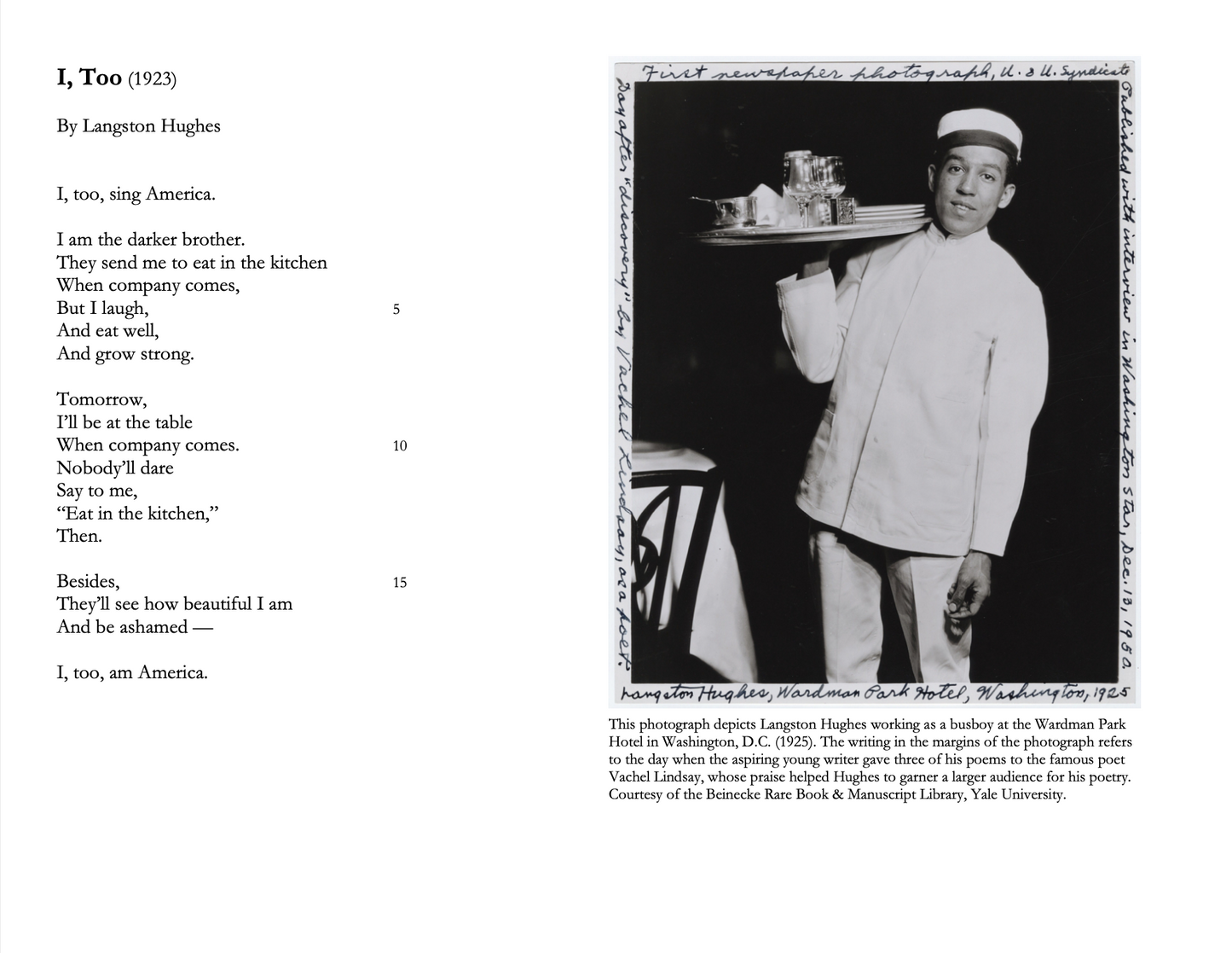 American Poetry Unit | Discussion Questions & Writing Assignments on 5 American Poets