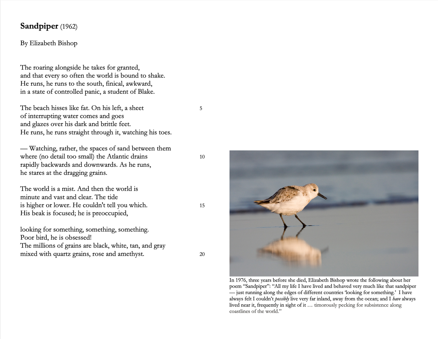 American Poetry Unit | Discussion Questions & Writing Assignments on 5 American Poets