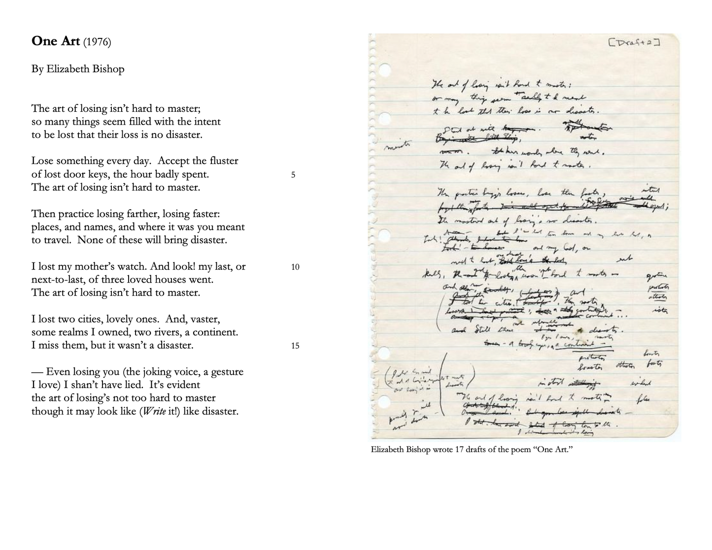 American Poetry Unit | Discussion Questions & Writing Assignments on 5 American Poets